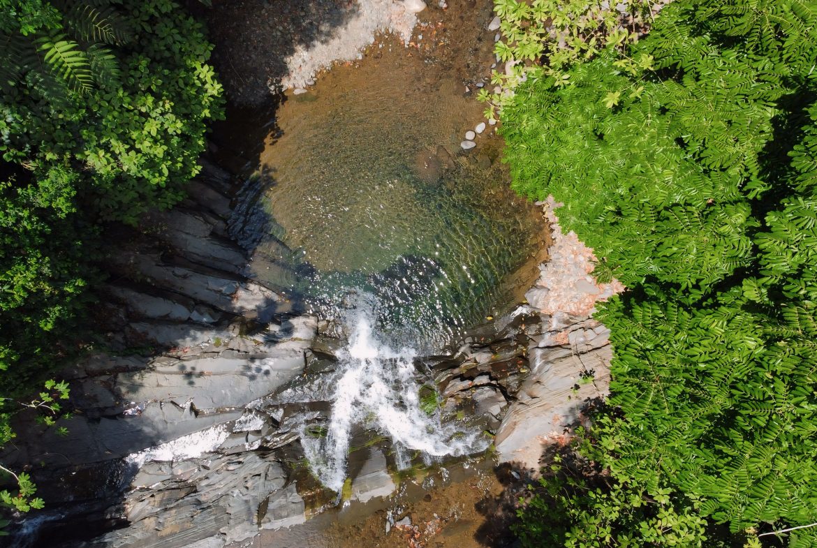 JUNGLE DREAMS FARM: WHERE NATURE MEETS SERENITY – 20 ACRES